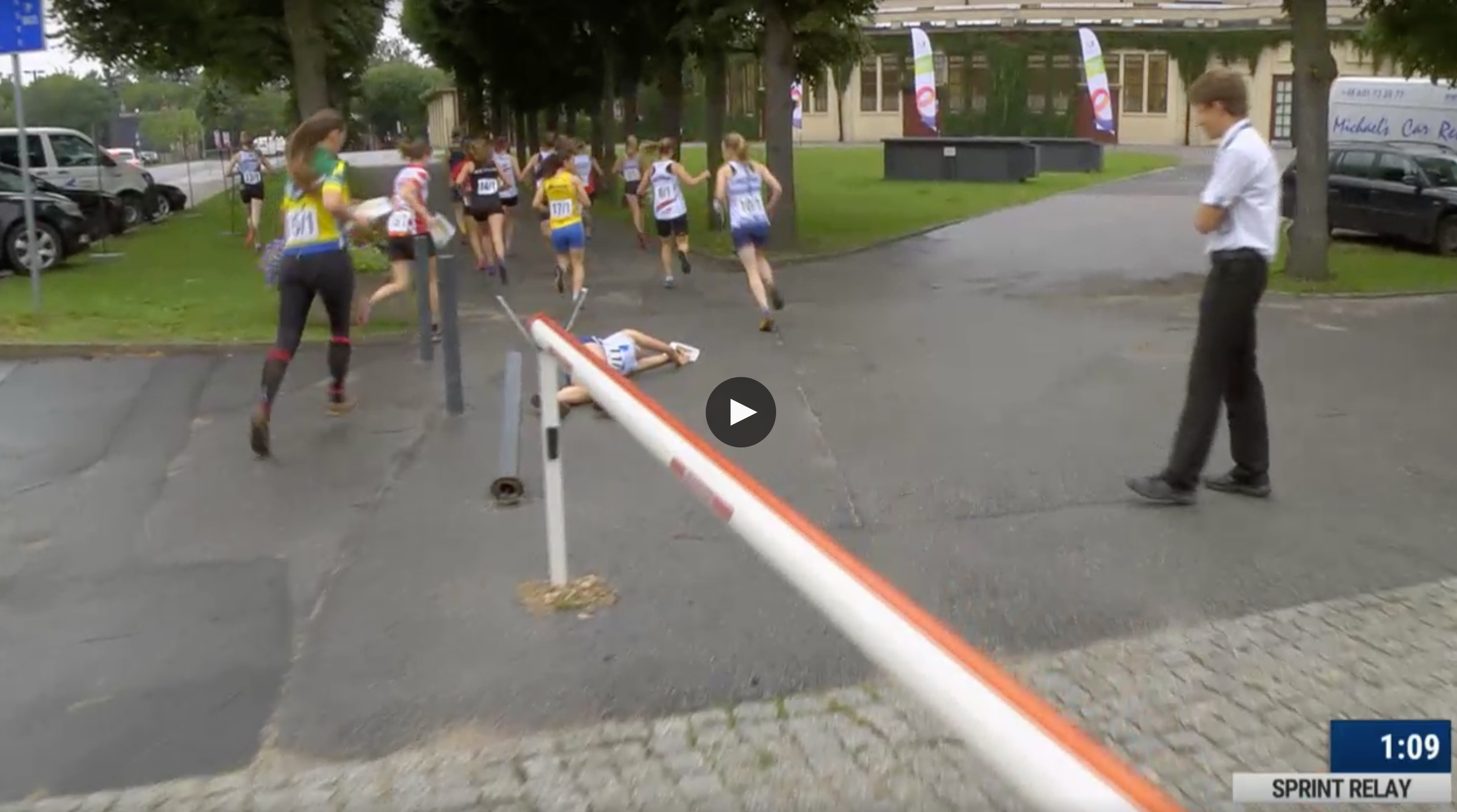 TWG Sprint Relay - French team